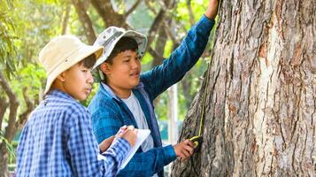 ung asiatisk Pojkar är använder sig av en mäta tejp till mäta en träd i en lokal- parkera, mjuk och selektiv fokus foto