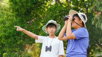 ung asiatisk Pojkar är använder sig av en binokulär till se upp för fåglar och djur i en lokal- parkera, mjuk och selektiv fokus foto