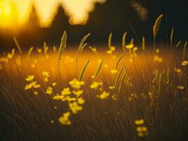 ai genererad abstrakt mjuk fokus solnedgång fält landskap av gul blommor och gräs äng värma gyllene timme solnedgång soluppgång tid. lugn vår sommar natur närbild och suddig skog bakgrund. foto