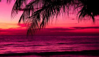 silhuett av handflatan träd på de strand under solnedgång av skön en tropisk strand på rosa himmel bakgrund foto