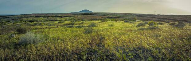 gyllene timme panorama av lanzarote landskap under springtime foto