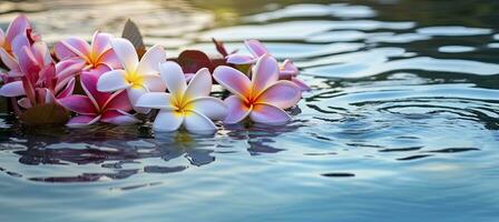 ai genererad plumeria blommor på grön blad flytande på vatten. en fredlig och lugn scen med en Rör av natur och skönhet. ai genererad foto