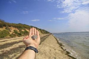 hand som håller ett snäckskal på en sandstrand foto