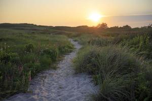sandig stig på en strand vid solnedgången foto