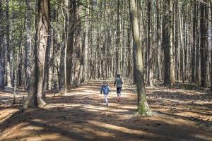 barn som går längs en stig genom mitten av skogen foto