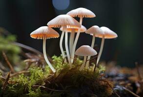 ai genererad hemimycena arter mairei. ai genererad. foto