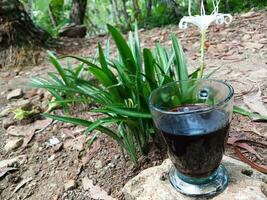 glas av kaffe på växt bakgrund foto