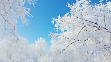 ai genererad en vinter- scen med en träd mot de himmel. generativ ai foto