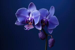 ai genererad tropisk violett blomma exotisk botanisk lila natur färgrik växt skönhet blommor foto