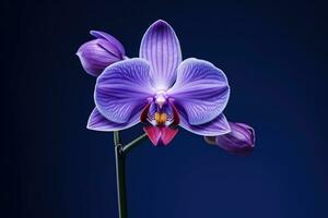 ai genererad flora vår blommig phalaenopsis kronblad tropisk makro närbild orkide blomma skönhet foto