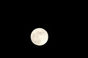 full måne lysande ljus i de natt foto