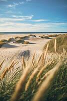 kust landskap i nordlig Danmark foto