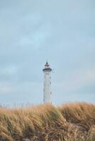 fyr lyngvig fyr på dansk väst kust foto