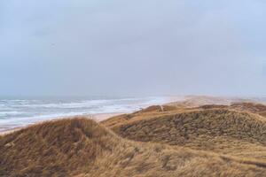 mulen väder på de kust i Danmark foto