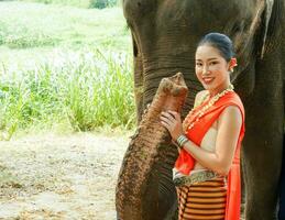 porträtt av skön lantlig thai kvinna ha på sig thai nordlig traditionell klänning för phot skjuta med trunk av asiatisk elefant på suddig bakgrund. foto