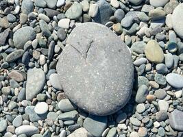 småsten på de strand. bakgrund från stenar. ett stor sten i de bakgrund av små ettor. foto