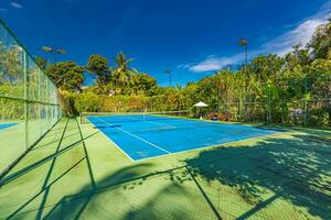 Fantastisk sport och rekreations bakgrund som tennis domstol på tropisk landskap, handflatan träd och blå himmel. sporter i tropisk begrepp foto