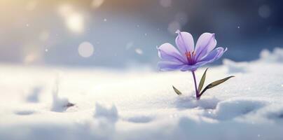 ai genererad lila blomma i snö, foto