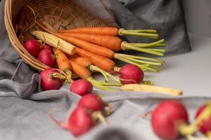 de röda och orange rädisorna finns på den vita duken foto