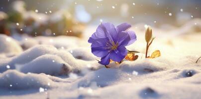 ai genererad en snö scen med en lila blomma är täckt i snö, foto