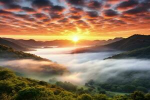 ai genererad soluppgång i de dimmig morgon- hd bakgrund tapet foto