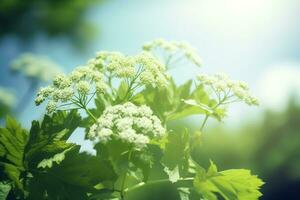 ai genererad sommar natur bakgrund. ai genererad foto