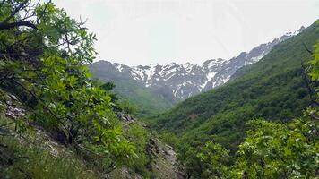 kurdistan natur irak foto