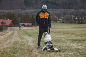 ung cynolog, en hund tränare tåg en fyrbenta sällskapsdjur australier herde i grundläggande kommandon använder sig av godsaker. kärlek mellan hund och mänsklig. söthet foto