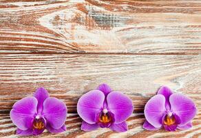 tre lila orkidéer på en naturlig trä- bakgrund. spa behandlingar, meditation, avslappning. topp se. plats för text. foto