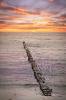 groynes jut ut in i de baltic hav. solnedgång på de horisont. trä- loggar skyddande foto