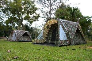 camping i de skog phu wiang nationell parkera, khon kaen , thailand foto