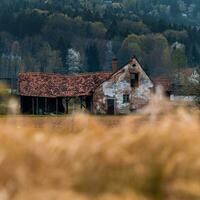 gammal övergiven österrikiska bruka hus skott med förgrund bokeh foto