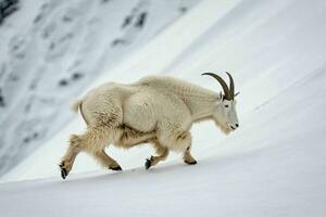 ai genererad berg get på snöig backe foto