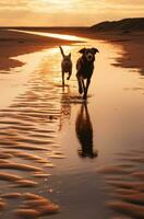 ai genererad silhuetter av hundar löpning på sandig stränder hund foto