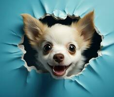ai genererad en hund kikar ut från en hål i en blå bakgrund, foto