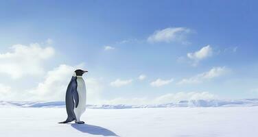 ai genererad pingvin stående i antarctica ser in i de blå himmel. ai genererad foto