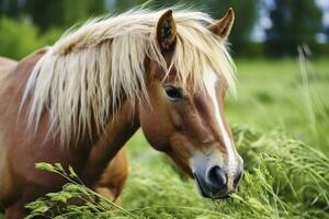 ai genererad brun häst med blond hår äter gräs på en grön äng detalj från de huvud. ai genererad foto
