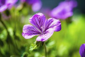 ai genererad geranium wilfordii blomma. ai genererad foto