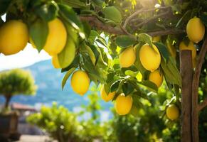 ai genererad citroner växande i en solig trädgård på amalfi kust i Italien. ai genererad foto