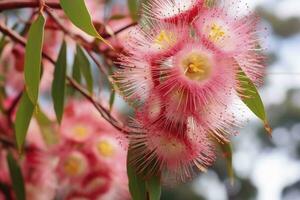 ai genererad skön gummi träd rosa blommor och knoppar. ai genererad foto