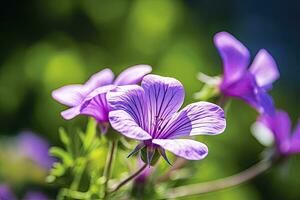 ai genererad geranium wilfordii blomma. ai genererad foto