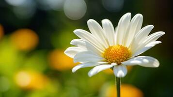 ai genererad en enda, delikat blomma, sådan som en daisy eller en tulpan, med en suddig bakgrund foto