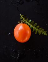 tomatoe och blad på svart bakgrund foto