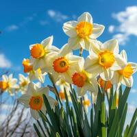 ai genererad färgrik gelé bönor anordnad i en springtime mönster på en ljus trä bakgrund foto