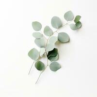 ai genererad en små grön eukalyptus växt på en vit bakgrund, foto