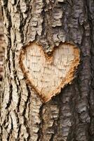 ai genererad naturens omfamning hjärtformade Knut på en träd trunk foto