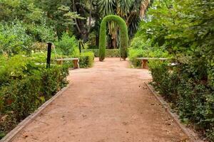 en väg genom en trädgård med en grön båge foto