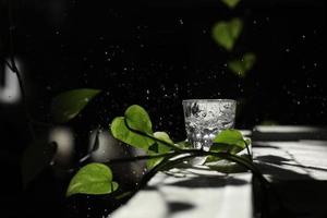 mousserande vatten hälls i ett glas mot en svart bakgrund. ett glas vatten på en mörk bakgrund bland de gröna bladen. ekokoncept foto