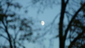 de måne natt se med de full måne och moln i de himmel foto