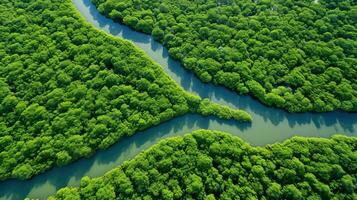 ai genererad ekosystem mangrove skog landskap foto